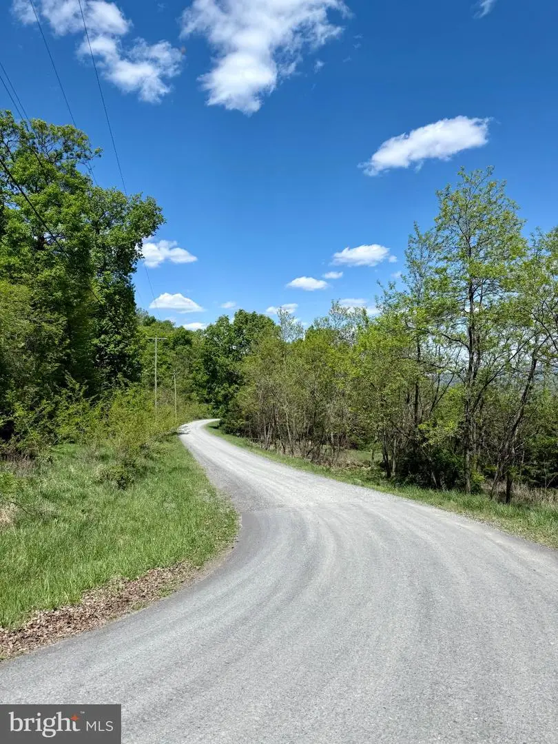 Lot(s) 113 And 115 River Ridge Sd, Yellow Spring, WV 26865 - #3