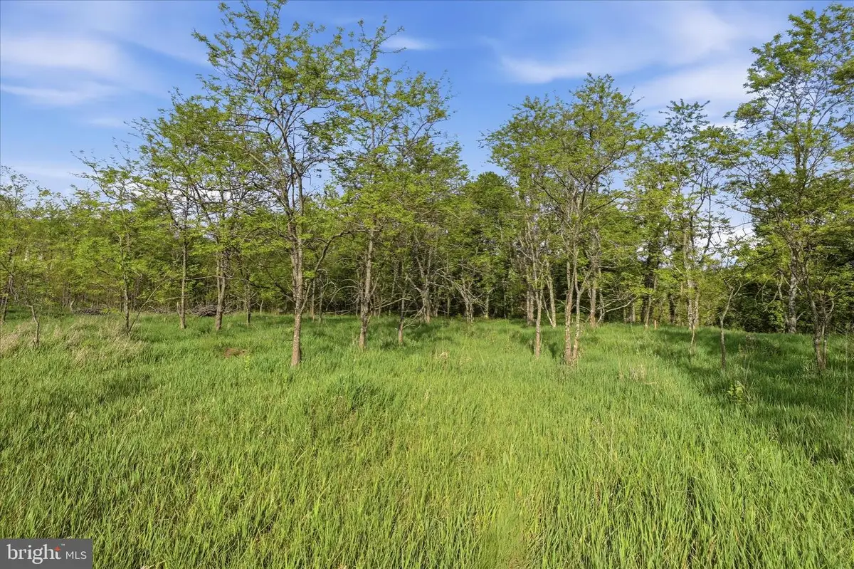 Nathaniel Drive, Romney, WV 26757 - #1