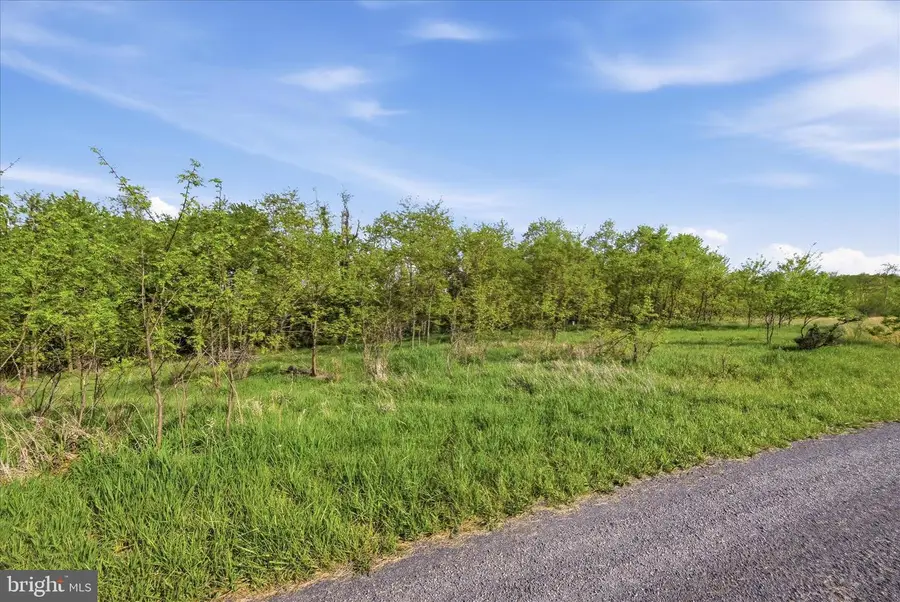 Nathaniel Drive, Romney, WV 26757 - #3
