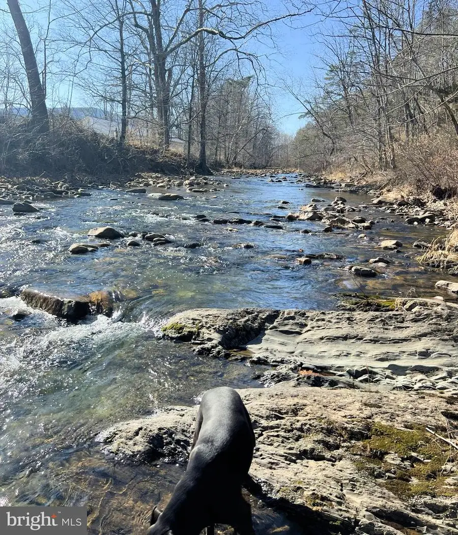 Radnor Dr, Delray, WV 26714 - #3