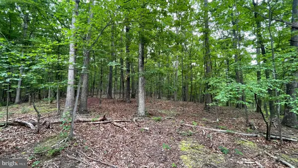 Lot 53 Hidden Springs Court, SLANESVILLE, WV 25444