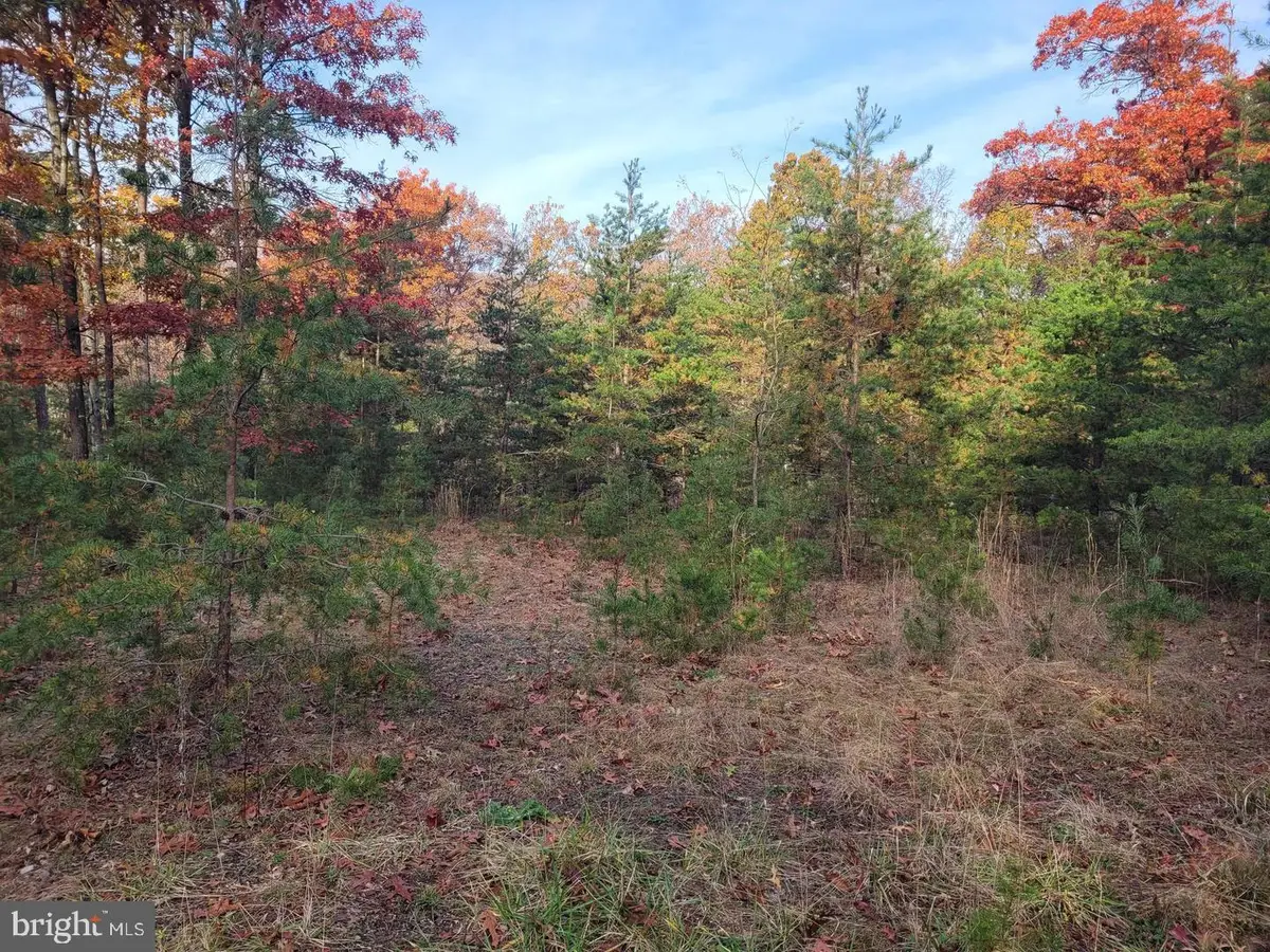 Lot 26 Park Road, Paw Paw, WV 25434 - #1