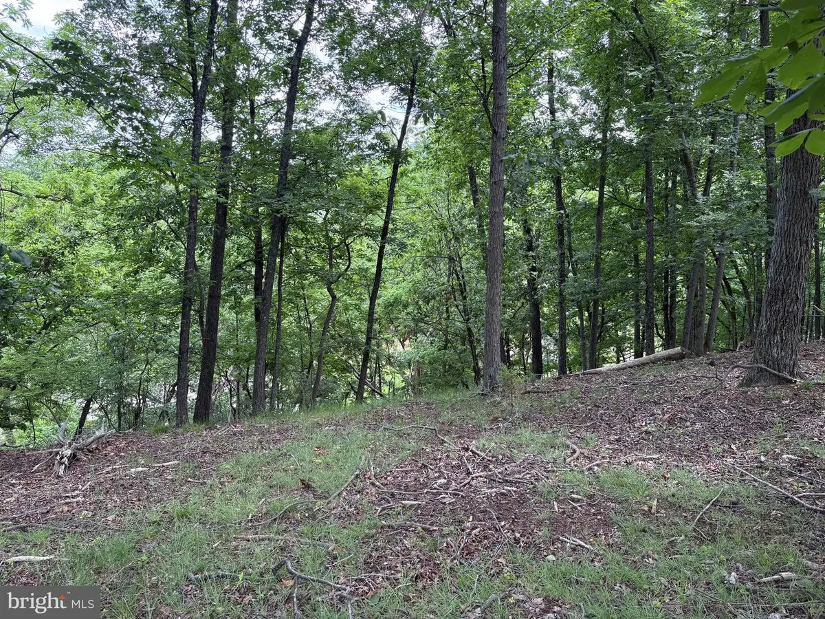 Lot 24 Cornwell Drive, Romney, WV 26757 - #1