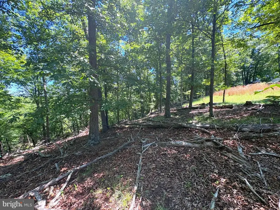 Lot 24 Cornwell Drive, Romney, WV 26757 - #3