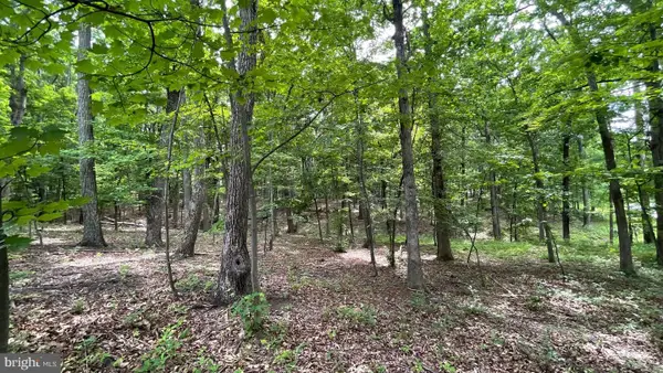 Lot 61 Bristol Springs Way, SLANESVILLE, WV 25444