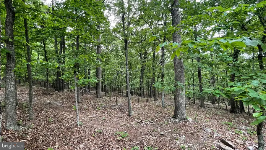 Lots 47-48-49 Bristol Ct, Slanesville, WV 25444 - #3