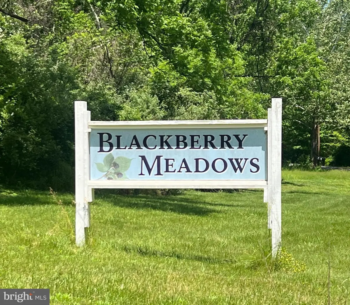 Waterberry Dr, Paw Paw, WV 25434 - #1