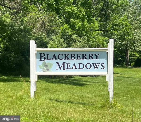 Waterberry Dr, PAW PAW, WV 25434