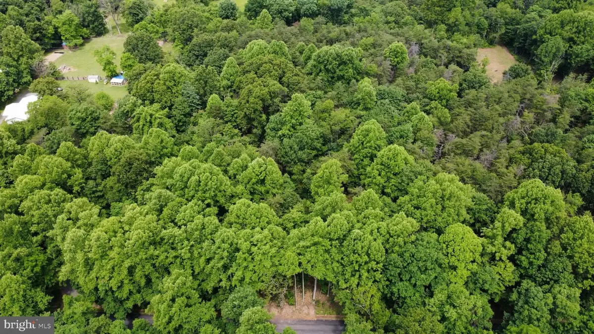 Lot 3b Critton Owl Hollow Rd, Paw Paw, WV 25434 - #1