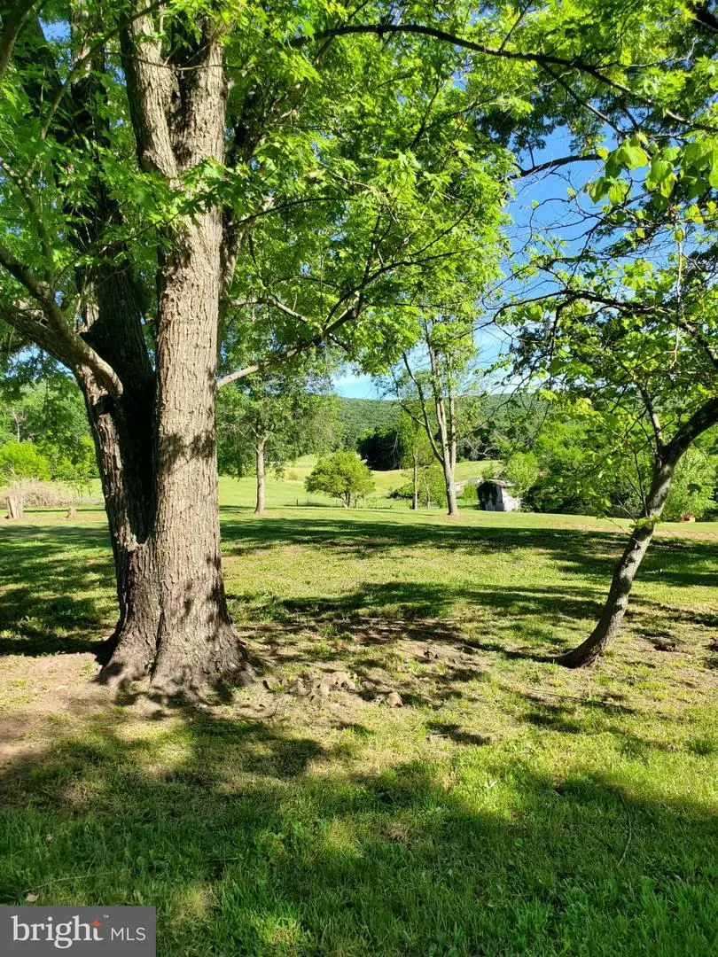 7881 Ford Hill Rd, Rio, WV 26755 - #2