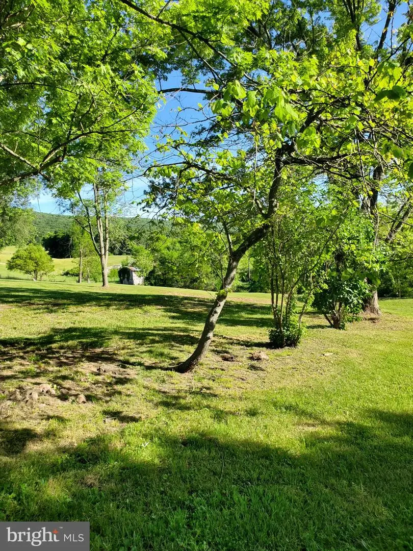 7881 Ford Hill Rd, Rio, WV 26755 - #3