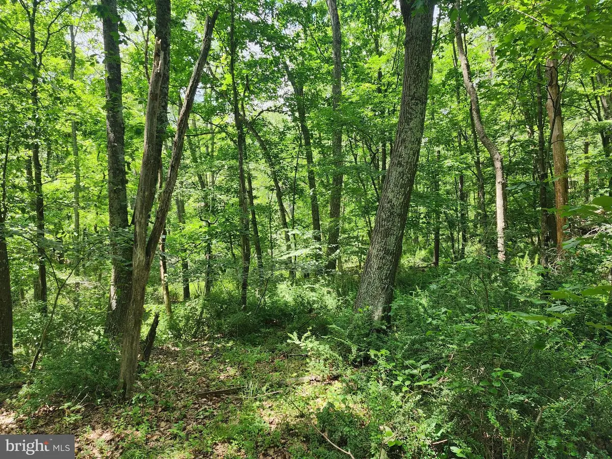 Lot 1 Nathaniel Mountain Heights, Romney, WV 26757 - #1