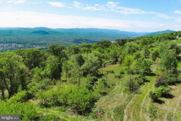 Lot # 69 High Mountain Orchards, ROMNEY, WV 26757