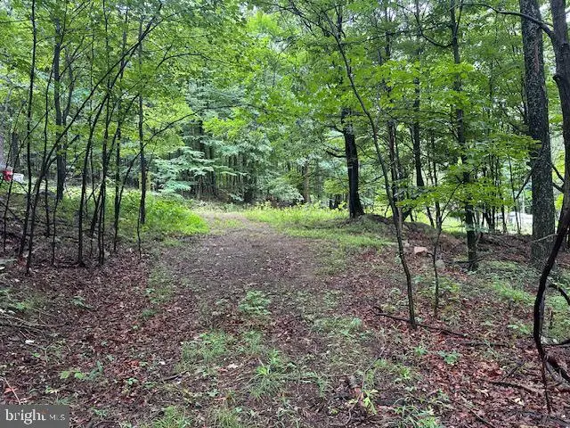 Lot 61 High Mountain View Rd, Romney, WV 26757 - #1