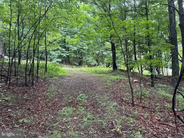Lot 61 High Mountain View Rd, ROMNEY, WV 26757