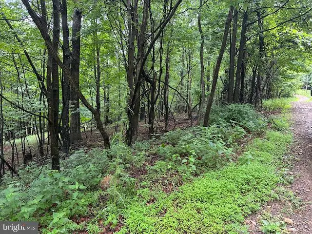Lot 61 High Mountain View Rd, Romney, WV 26757 - #3