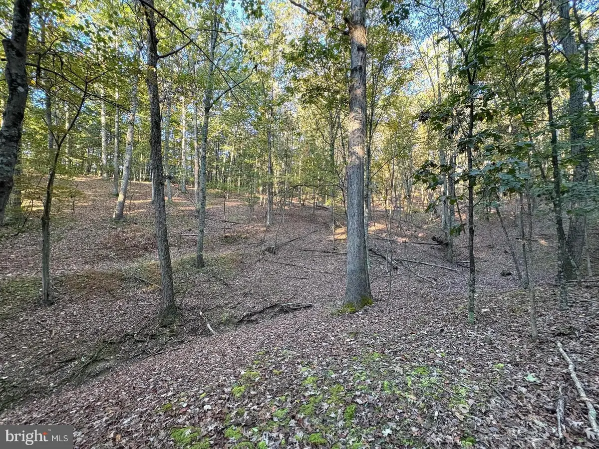 7313 Little Cacapon Rd, Romney, WV 26757 - #1