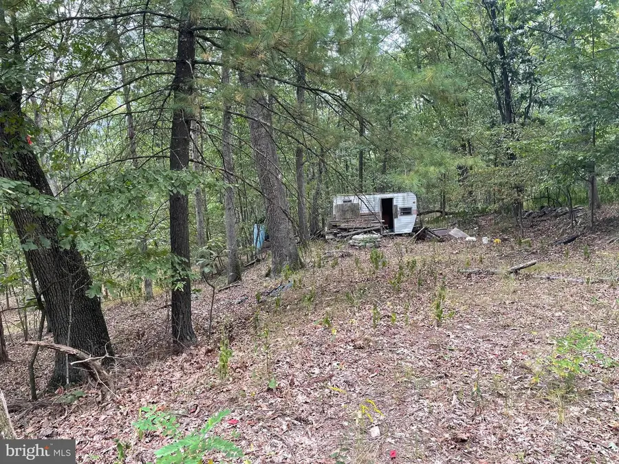 Lot 17 Section D Lake Ferndale, Springfield, WV 26763 - #2
