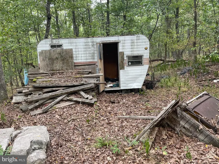 Lot 17 Section D Lake Ferndale, Springfield, WV 26763 - #3