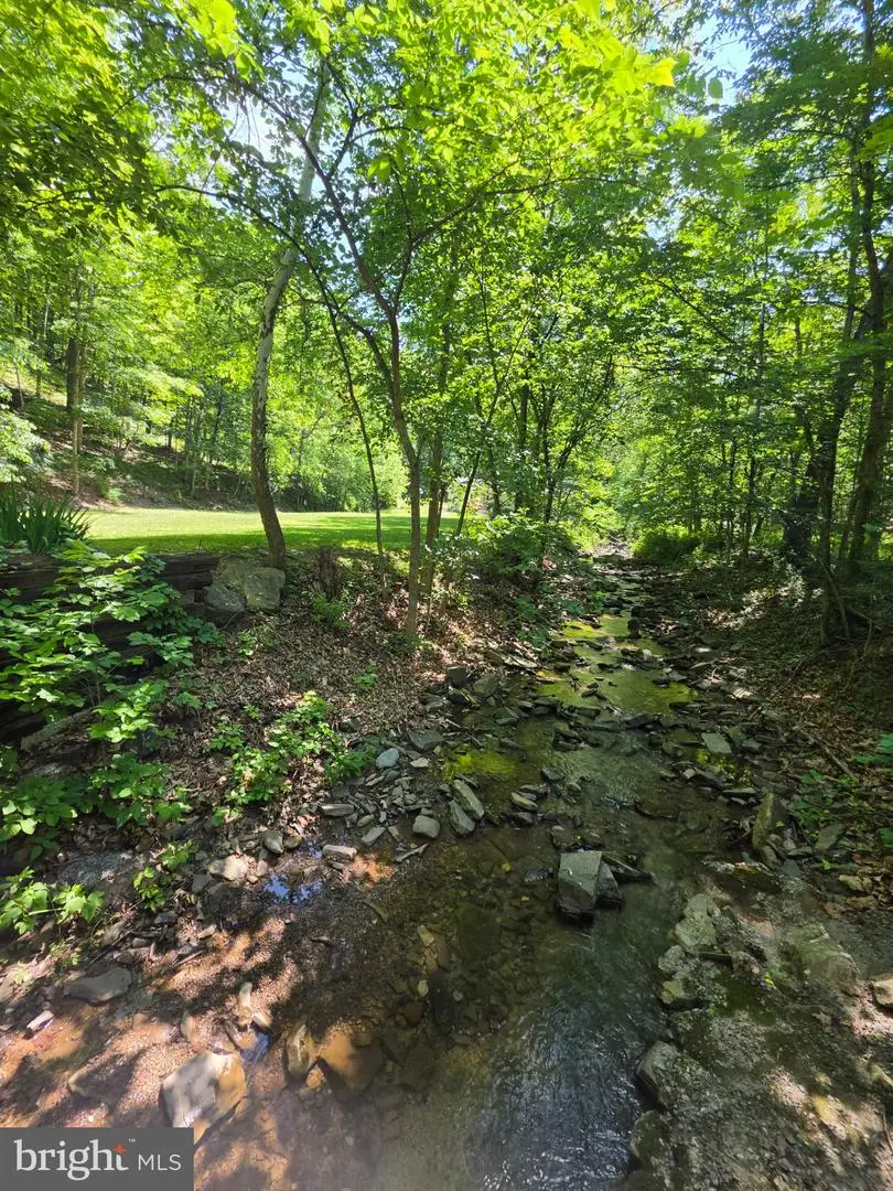 1981 Buffalo Hollow Rd, Romney, WV 26757 - #3