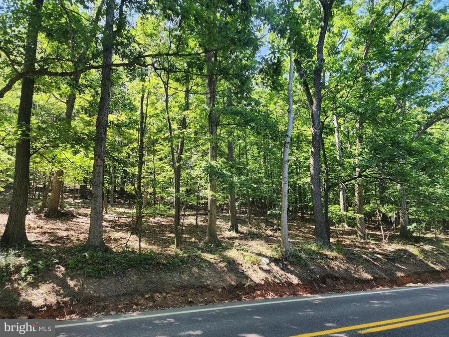 8 Acres Cacapon Rd., Paw Paw, WV 25434 - #2