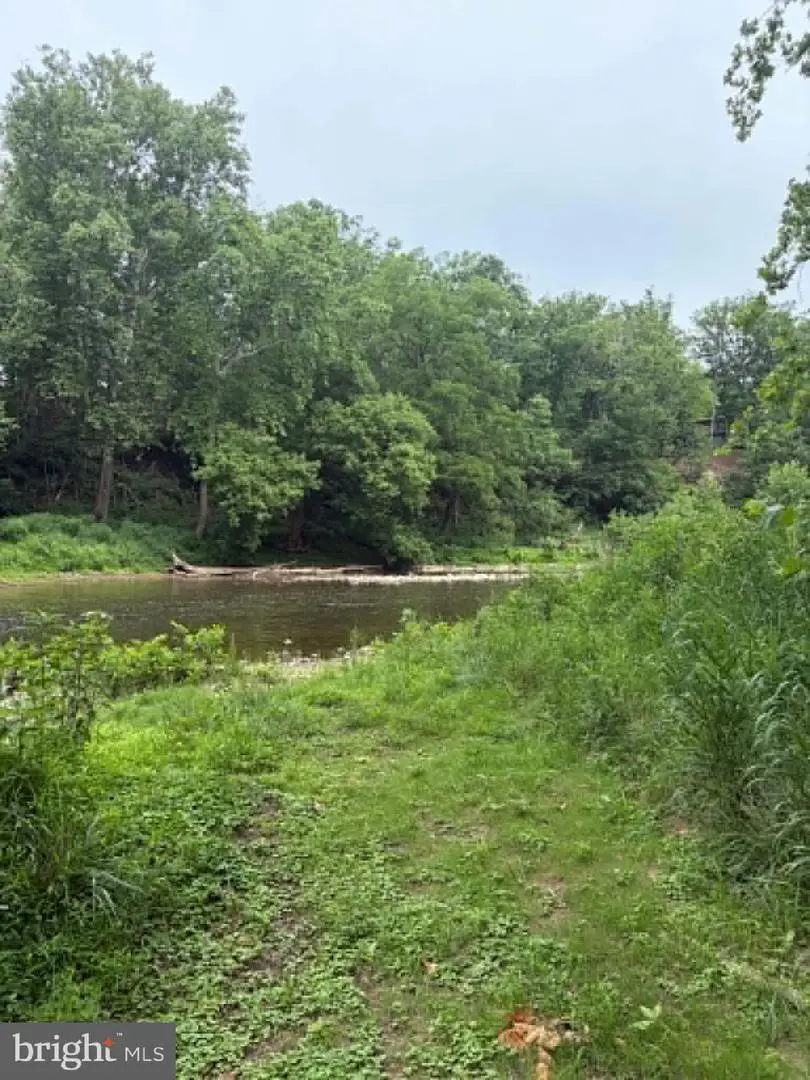 937 Hummingbird Ln, Capon Bridge, WV 26711 - #3