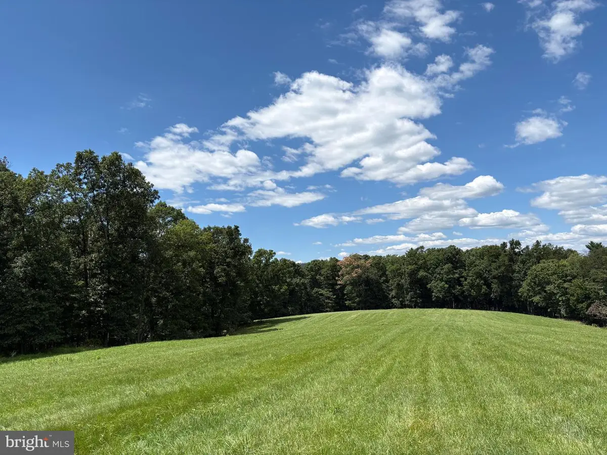20.96 Acres Wilson's Ln, High View, WV 26808 - #1