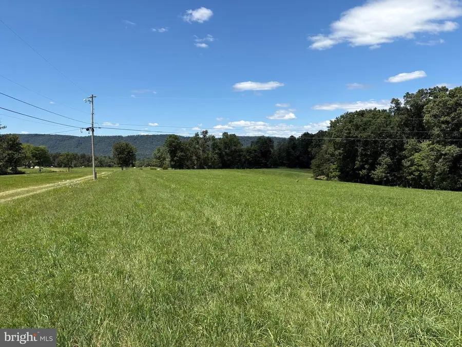 20.96 Acres Wilson's Ln, High View, WV 26808 - #3