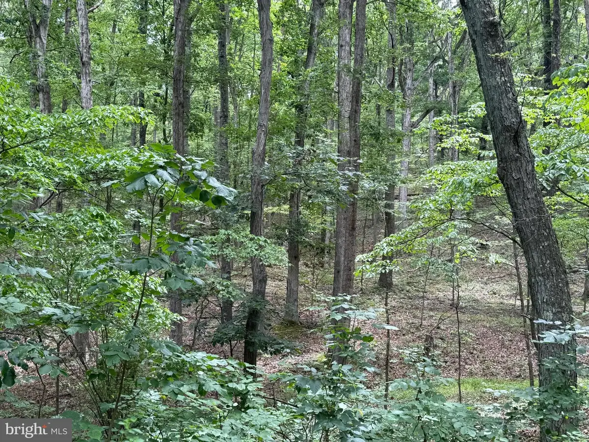 8.34 Acres On Arnold Stickley Rd., Green Spring, WV 26722 - #1