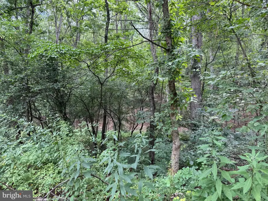 8.34 Acres On Arnold Stickley Rd., Green Spring, WV 26722 - #2