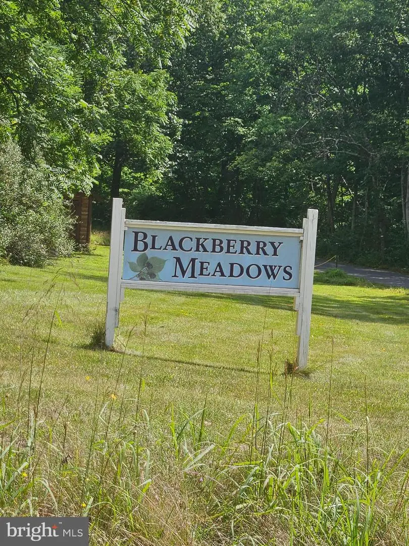 Lot 2 Blackberry Meadows No Physical Address, Paw Paw, WV 25434 - #1