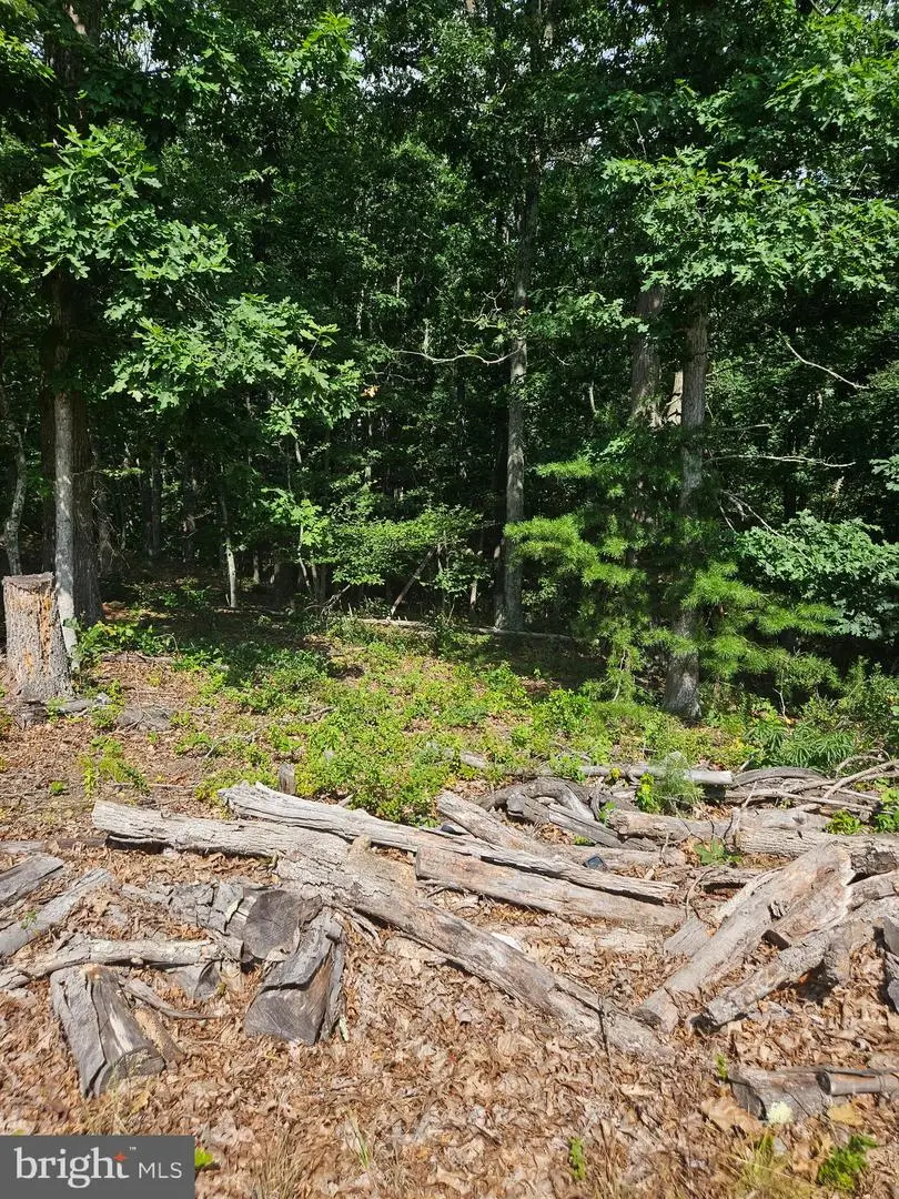 Lot 2 Blackberry Meadows No Physical Address, Paw Paw, WV 25434 - #3