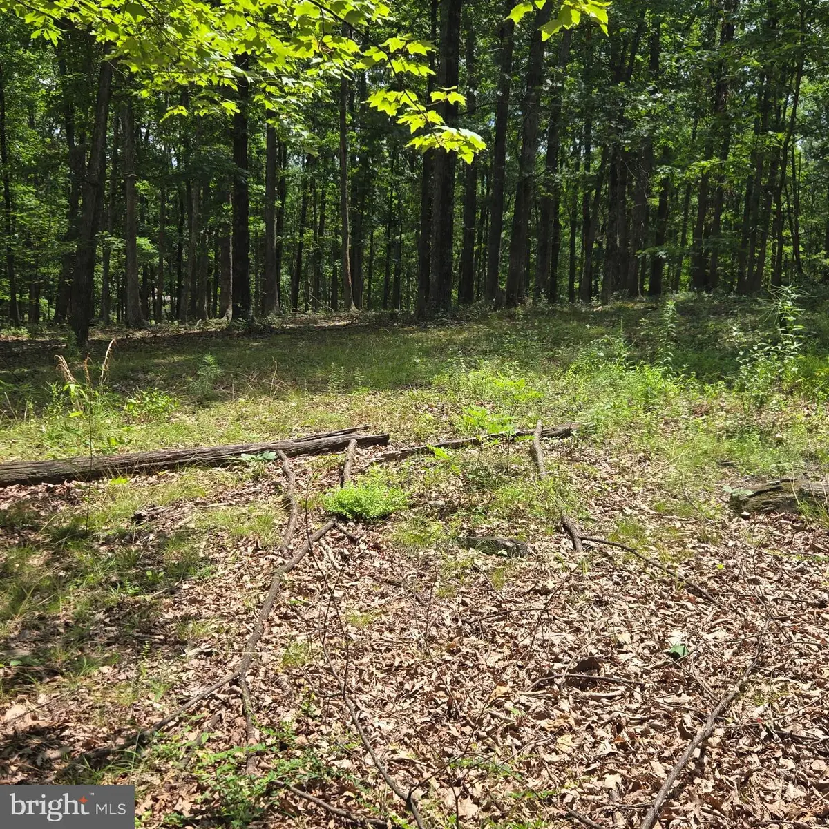 Lots 24 -25 Ashley Ct, Shanks, WV 26761 - #1