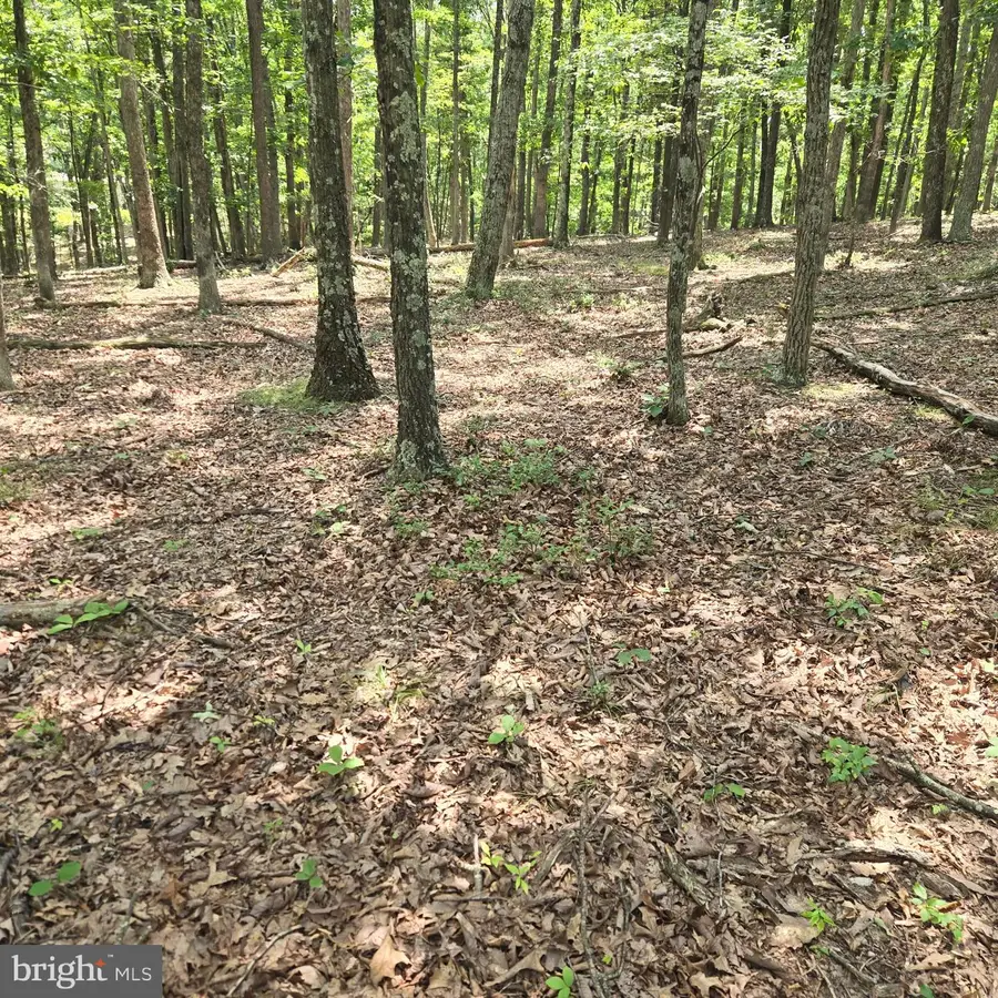 Lots 24 -25 Ashley Ct, Shanks, WV 26761 - #2