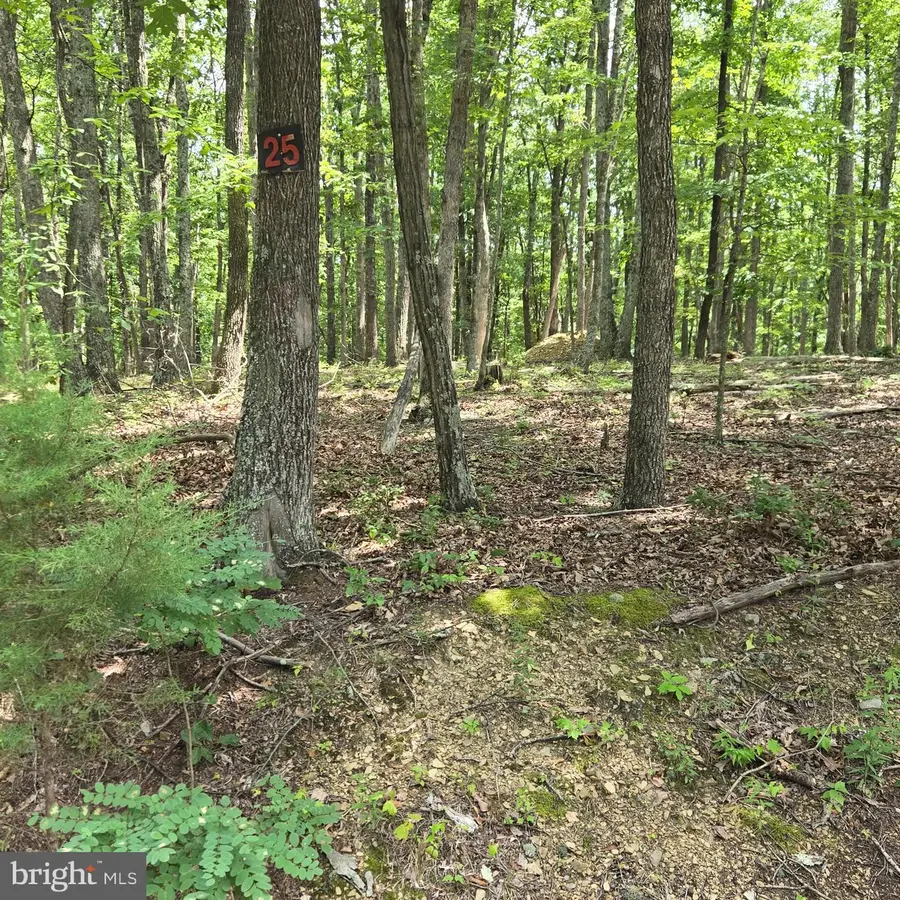 Lots 24 -25 Ashley Ct, Shanks, WV 26761 - #3