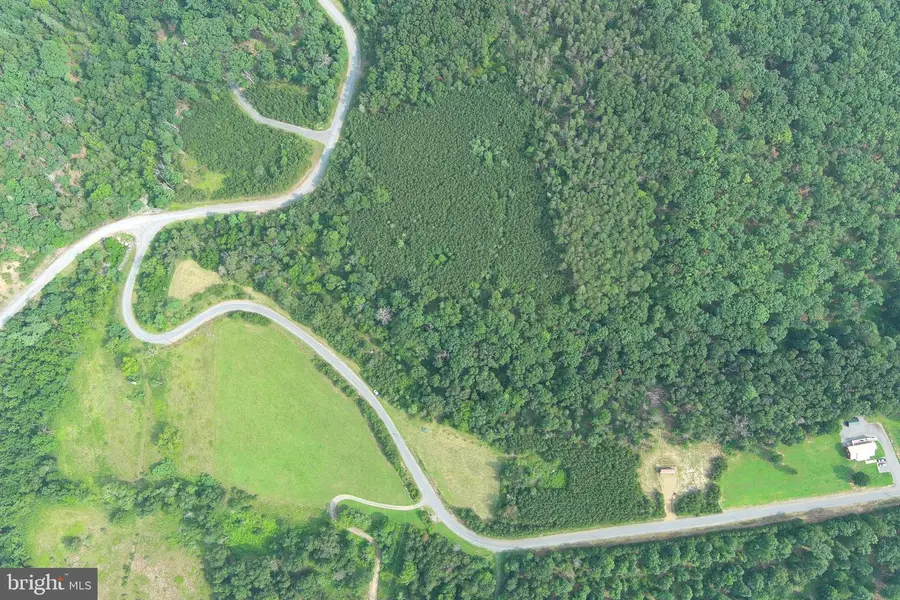 Lot 28 Quivey's Grove, Romney, WV 26757 - #3
