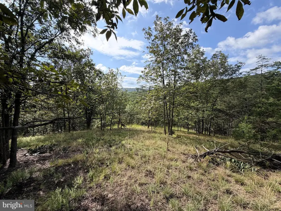 190 Bluffs On The Potomac, Romney, WV 26757 - #3