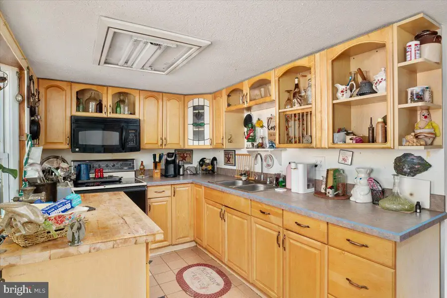 444 Nugget Dr, Capon Bridge, WV 26711 - #2