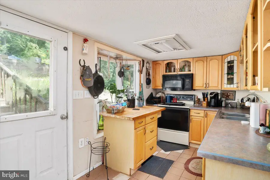 444 Nugget Dr, Capon Bridge, WV 26711 - #3
