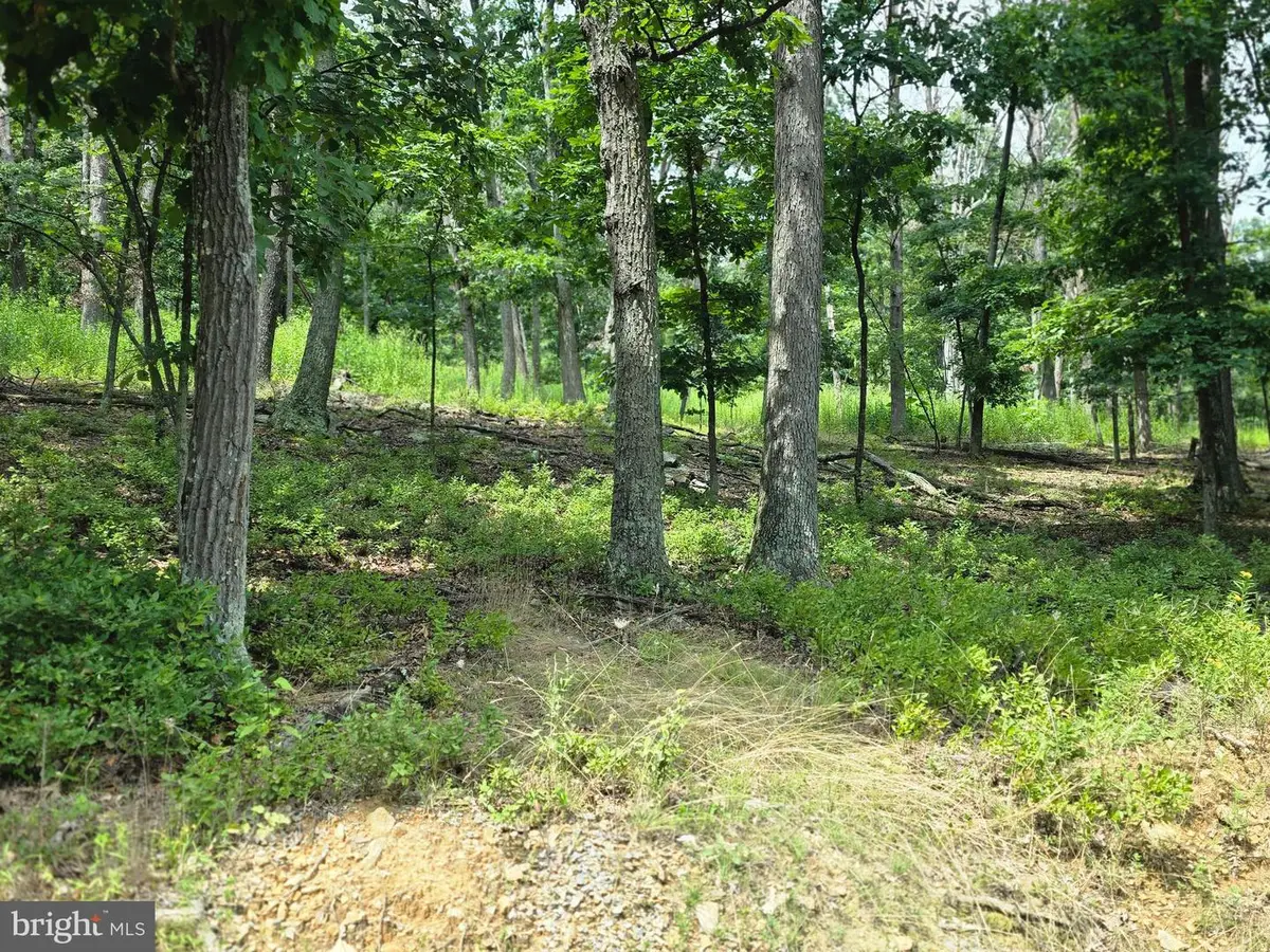 Lots 6 & 7 Pioneer Ln, Capon Bridge, WV 26711 - #1