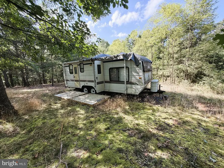 20 Unrestricted Acres, Romney, WV 26757 - #2