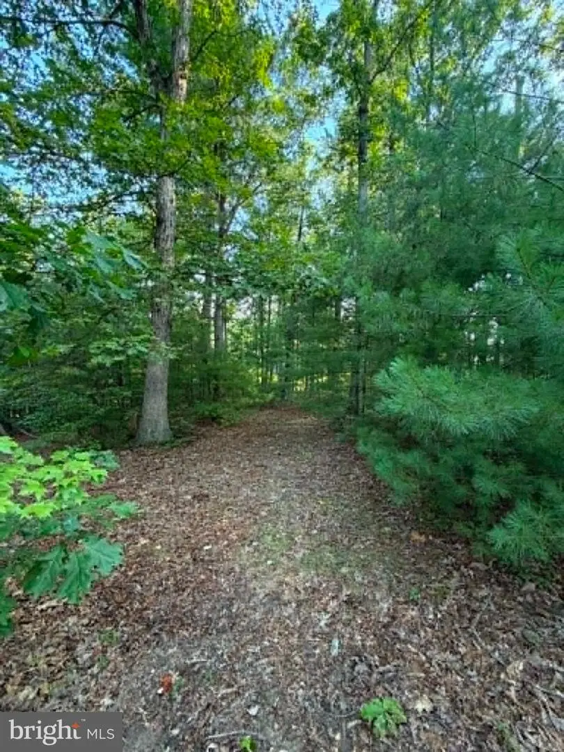 Lot 9 Hickory Ln, Augusta, WV 26704 - #1