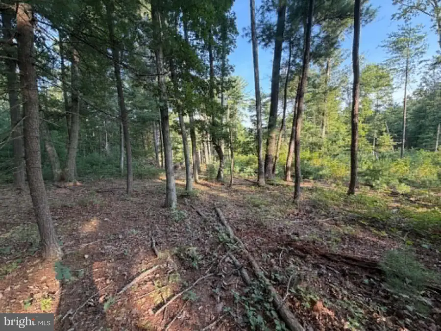Lot 9 Hickory Ln, Augusta, WV 26704 - #3