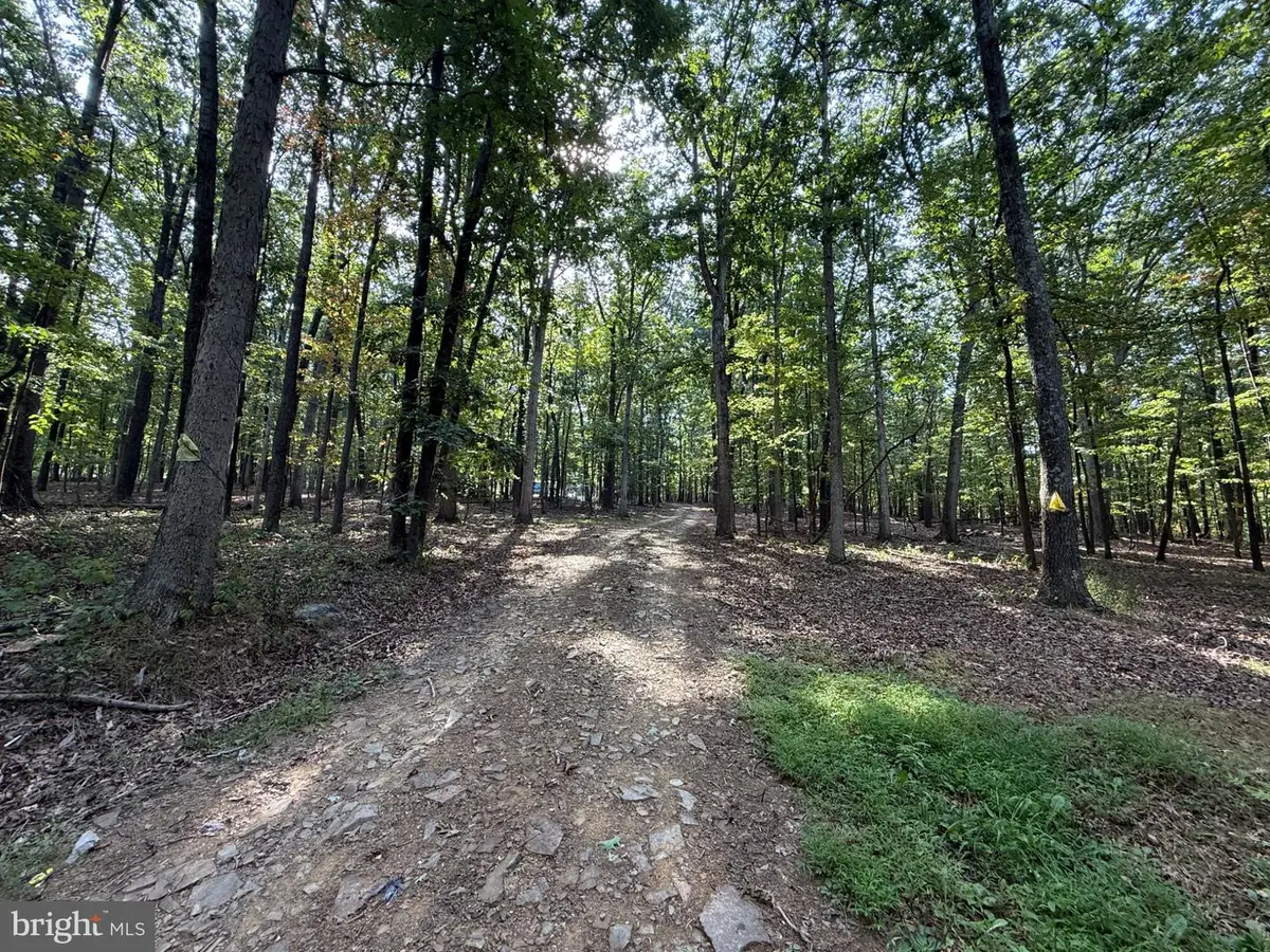 6376 Spring Gap Rd, Slanesville, WV 25444 - #1