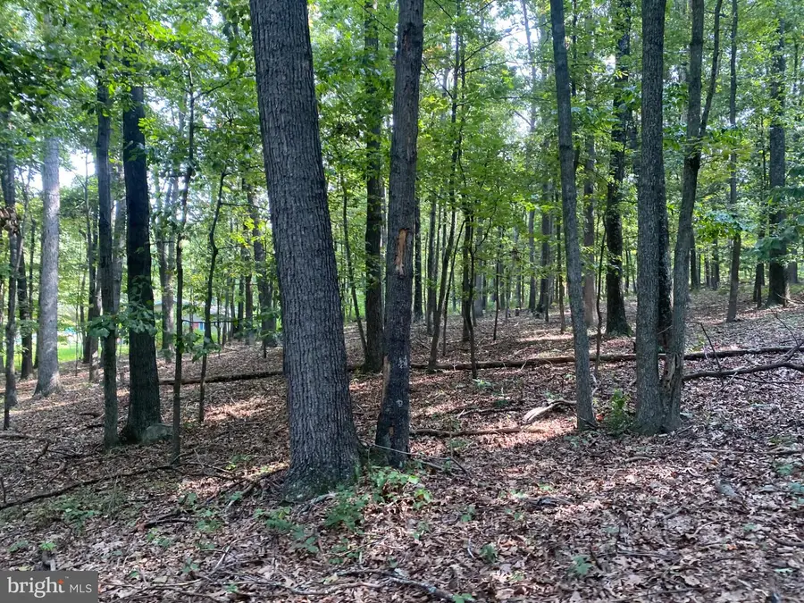 6376 Spring Gap Rd, Slanesville, WV 25444 - #3
