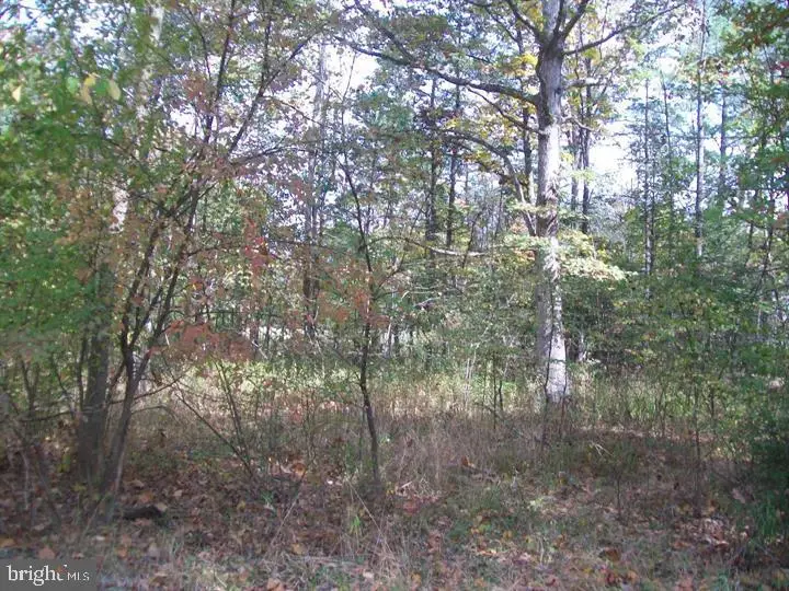 Autumn Ln, Capon Bridge, WV 26711 - #1