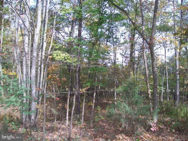 Autumn Ln, Capon Bridge, WV 26711 - #2