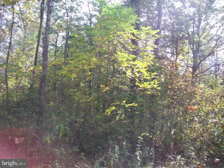 Autumn Ln, Capon Bridge, WV 26711 - #3