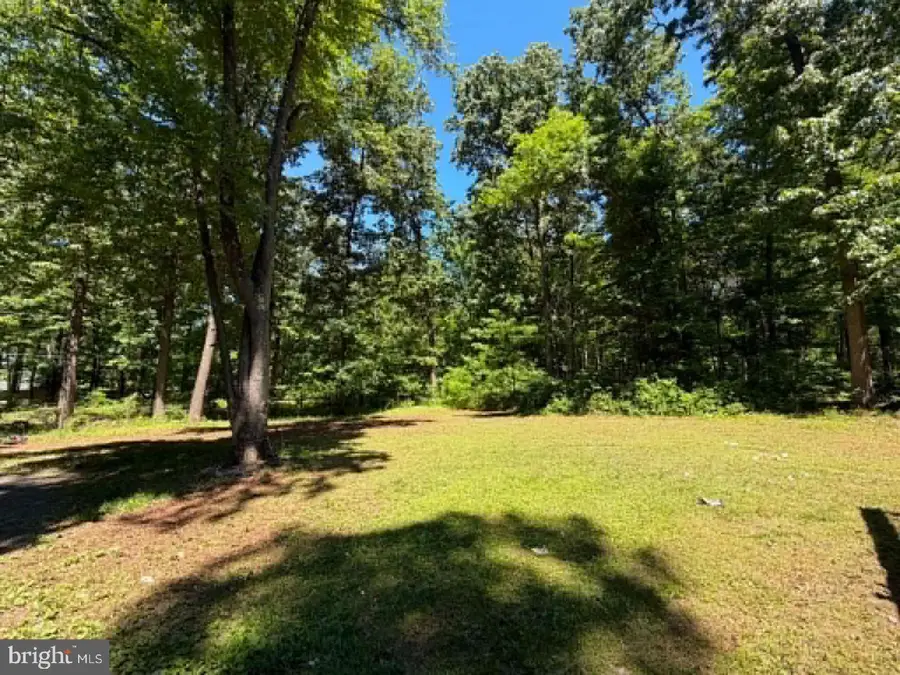 51 Cabin Rd, Augusta, WV 26704 - #3