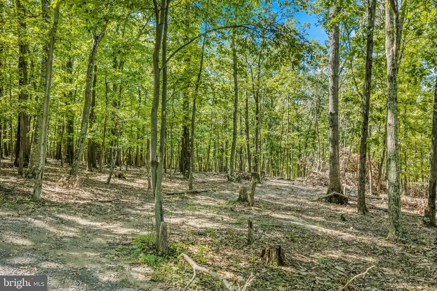 Farm View Ln, Romney, WV 26757 - #3